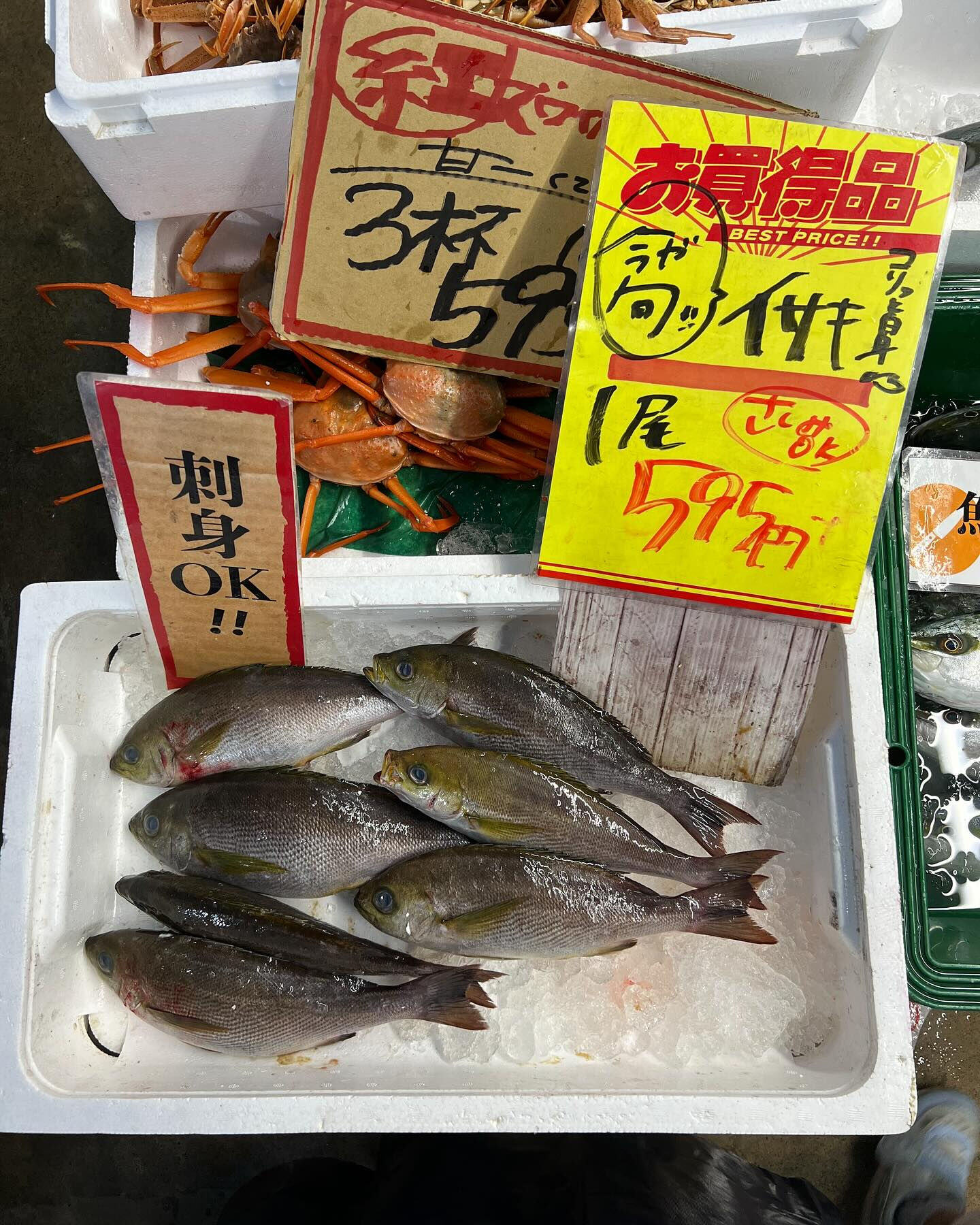 天然ブリ入荷！