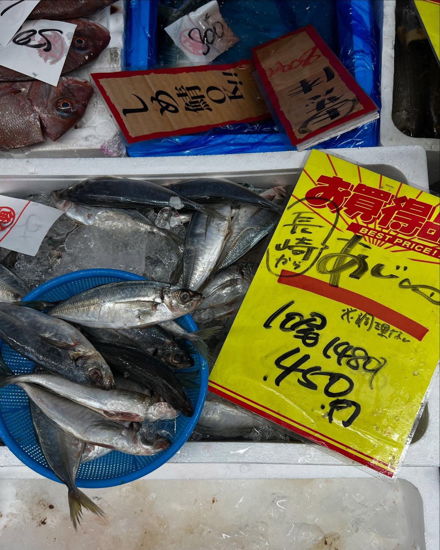 天然ブリ入荷！