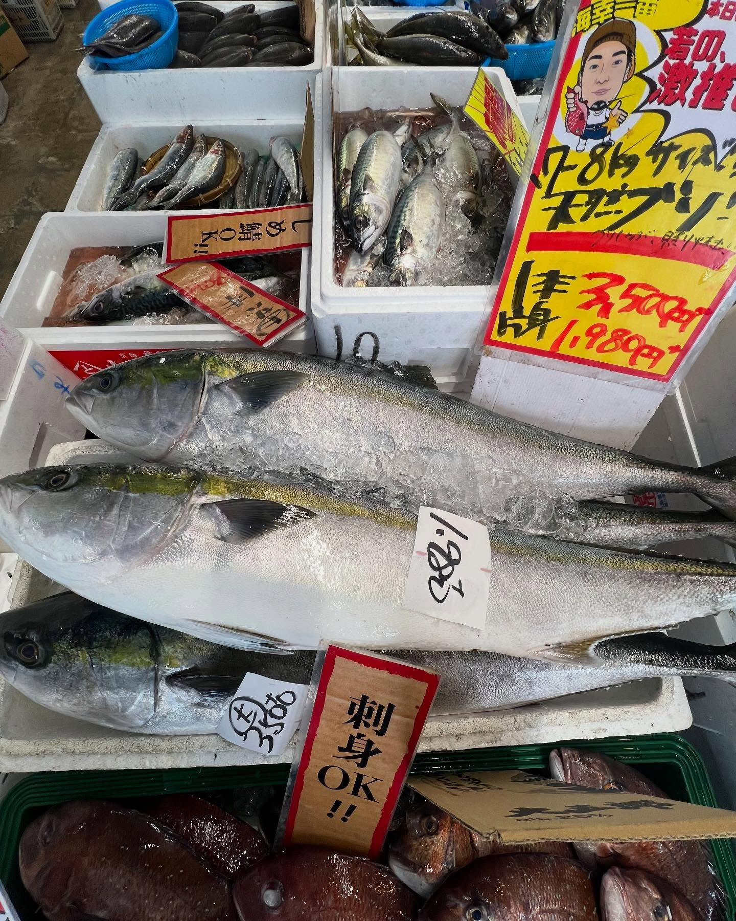 本日、日曜日start🐟
