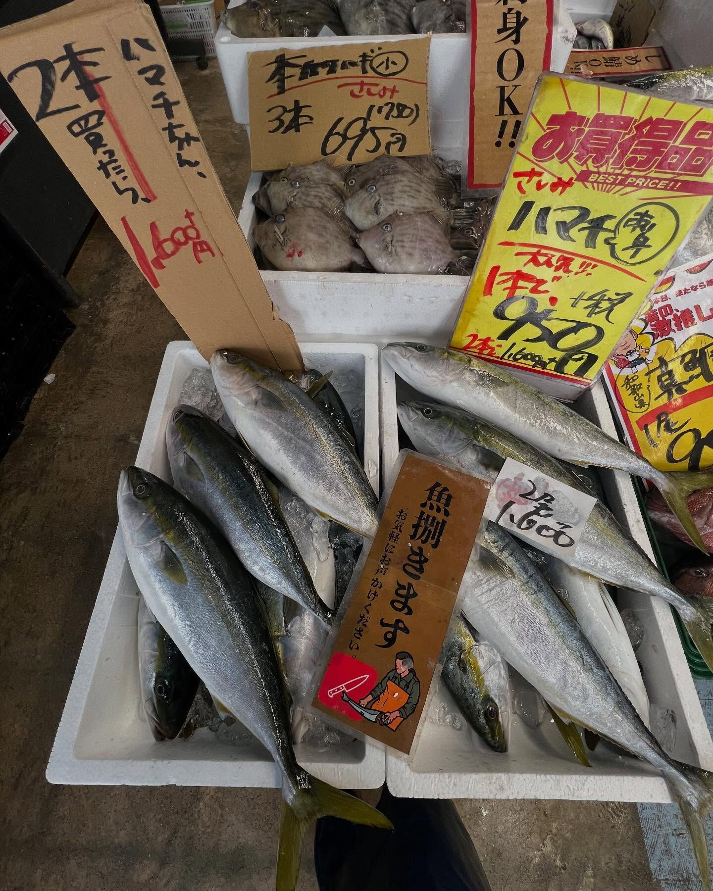 本日、日曜日start🐟