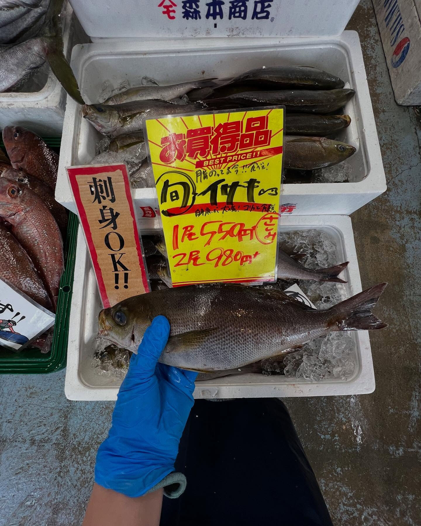 本日、日曜日start🐟