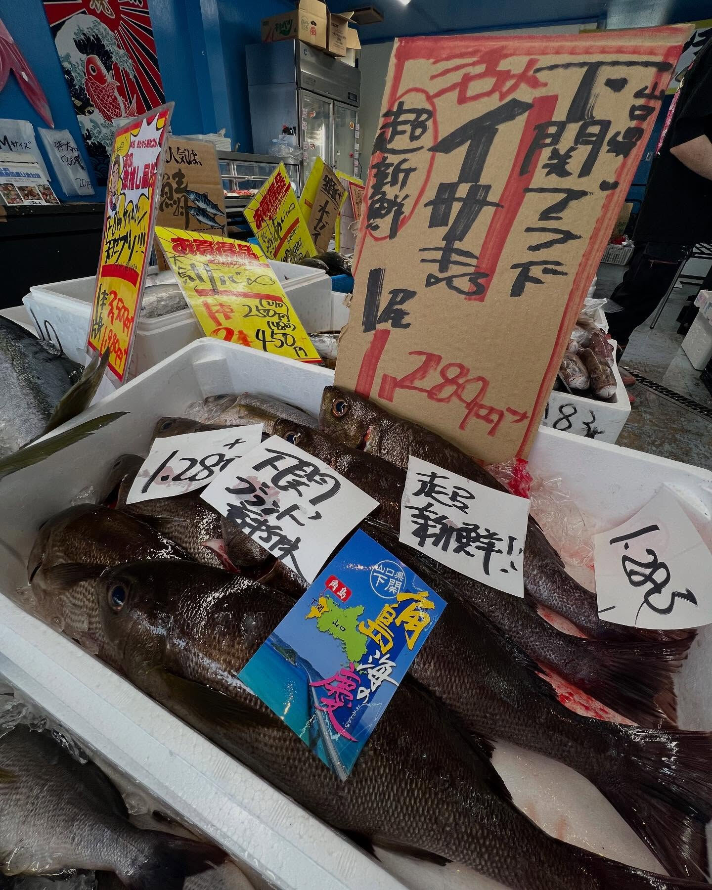 本日、日曜日start🐟