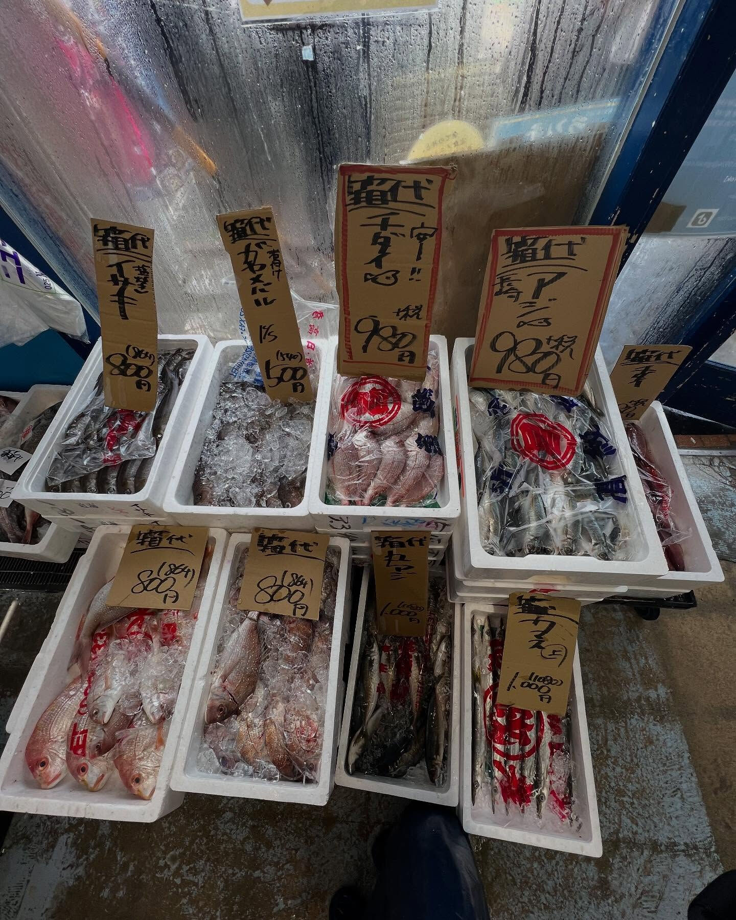 本日、日曜日start🐟