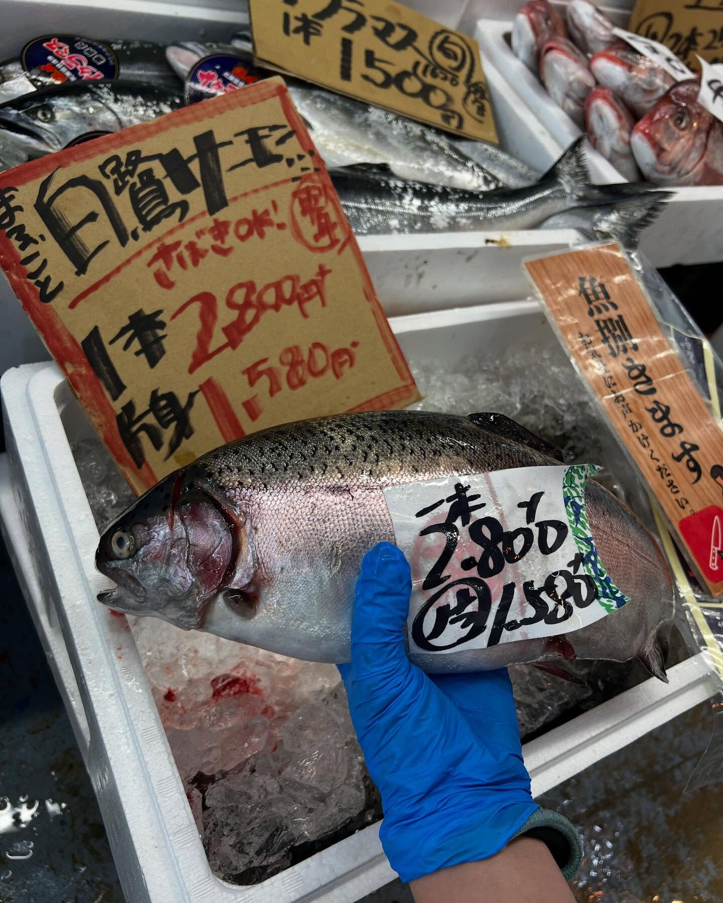 本日、日曜日start🐟