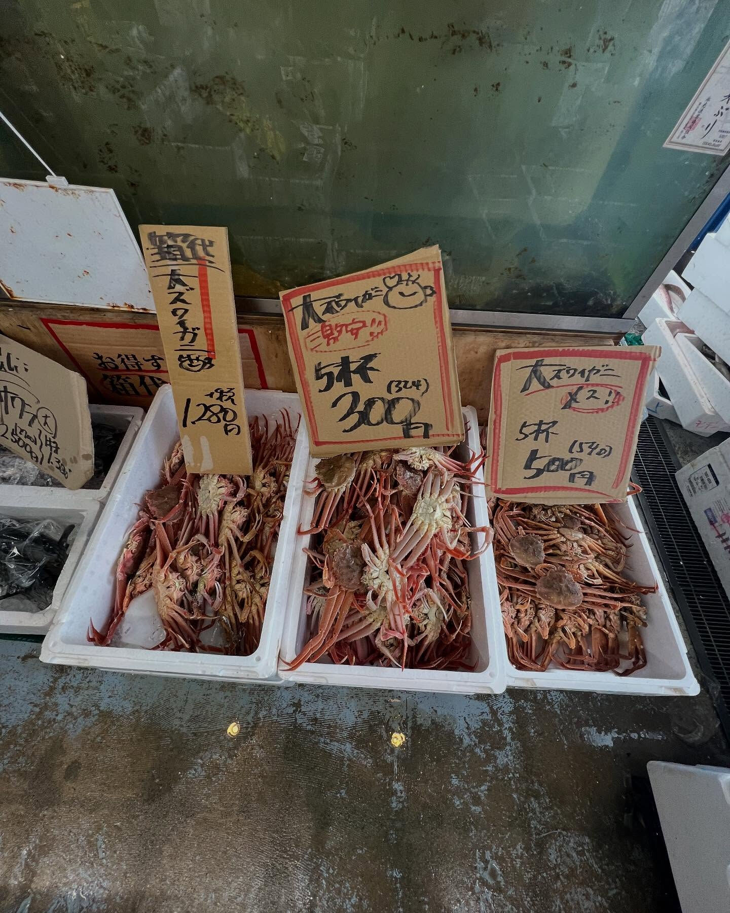 本日、日曜日start🐟
