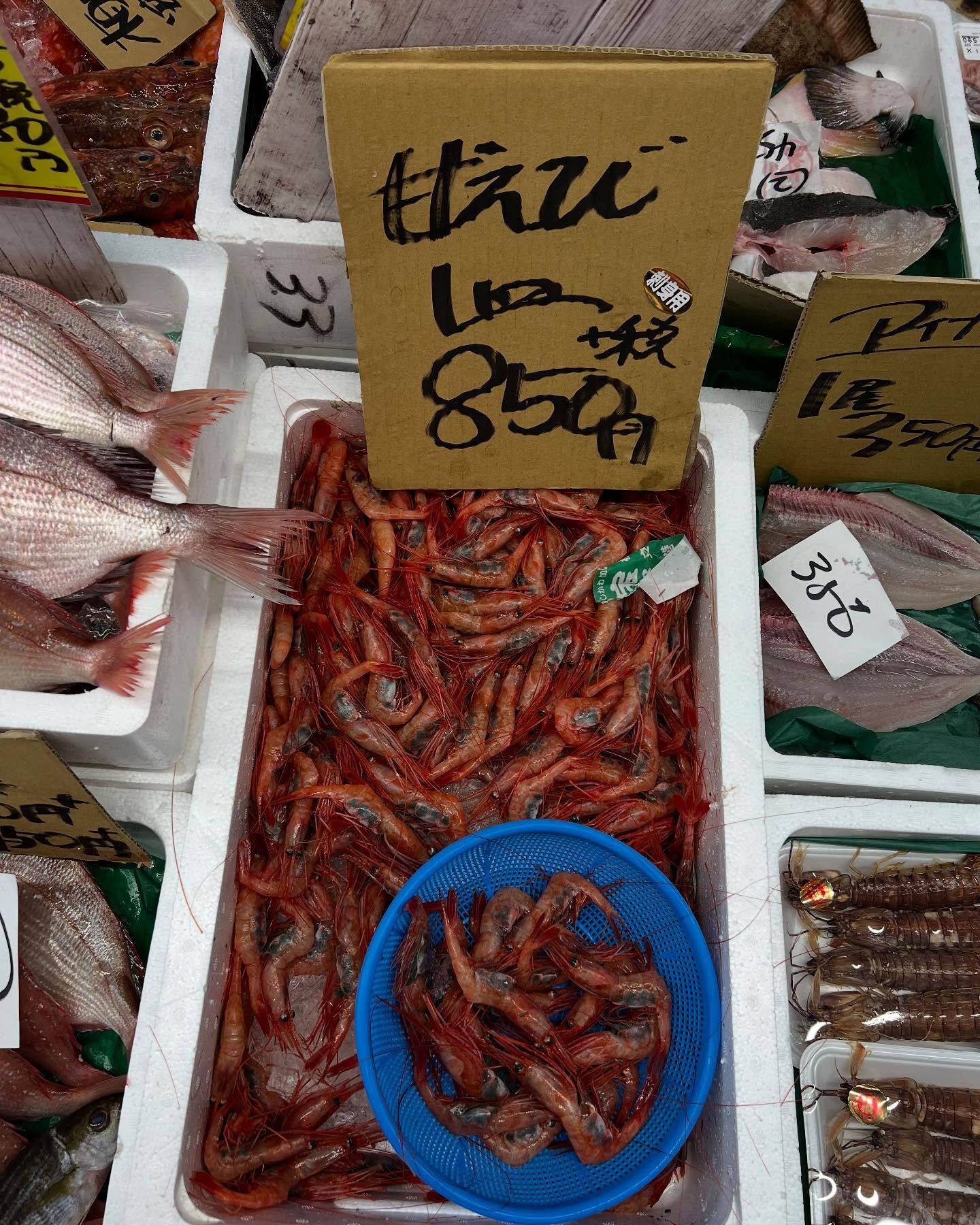 本日、日曜日start🐟