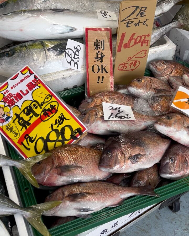 本日、日曜日start🐟