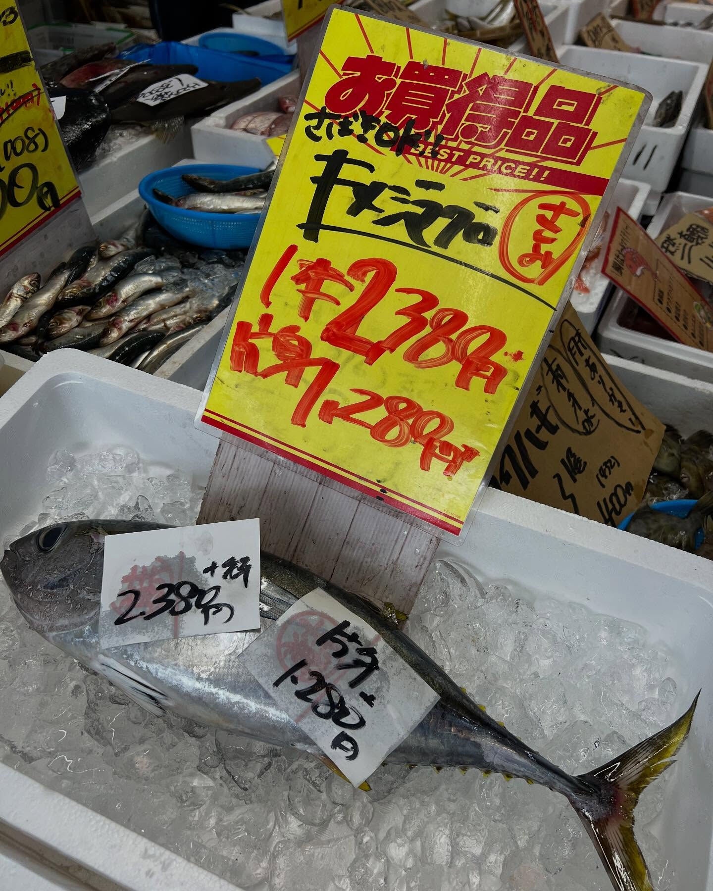 本日メインは２つ!!