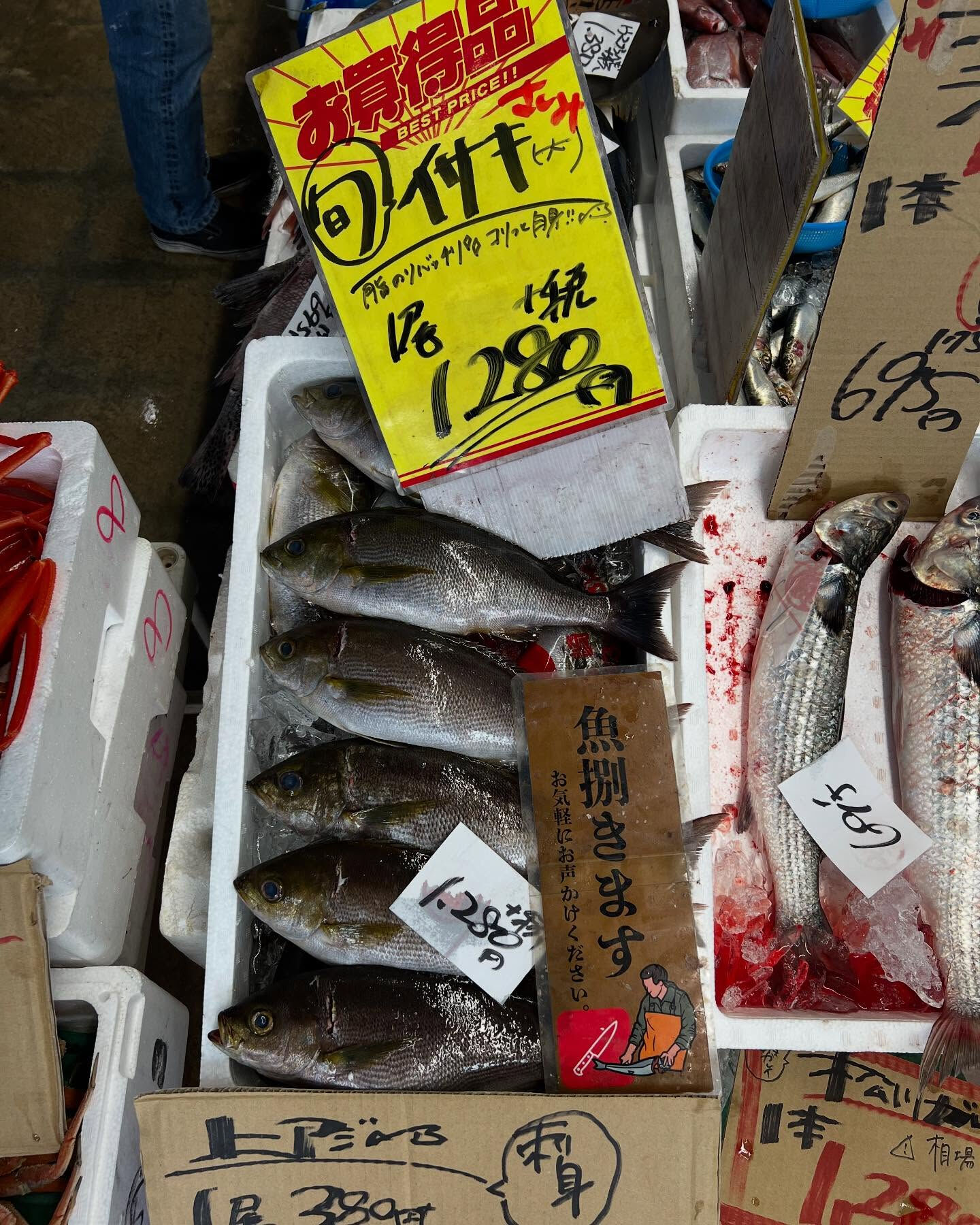 本日メインは２つ!!