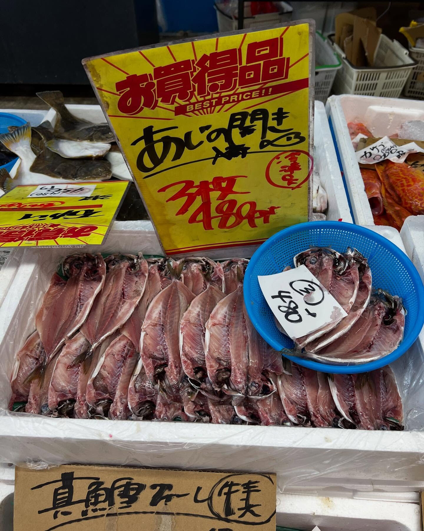 本日メインは２つ!!