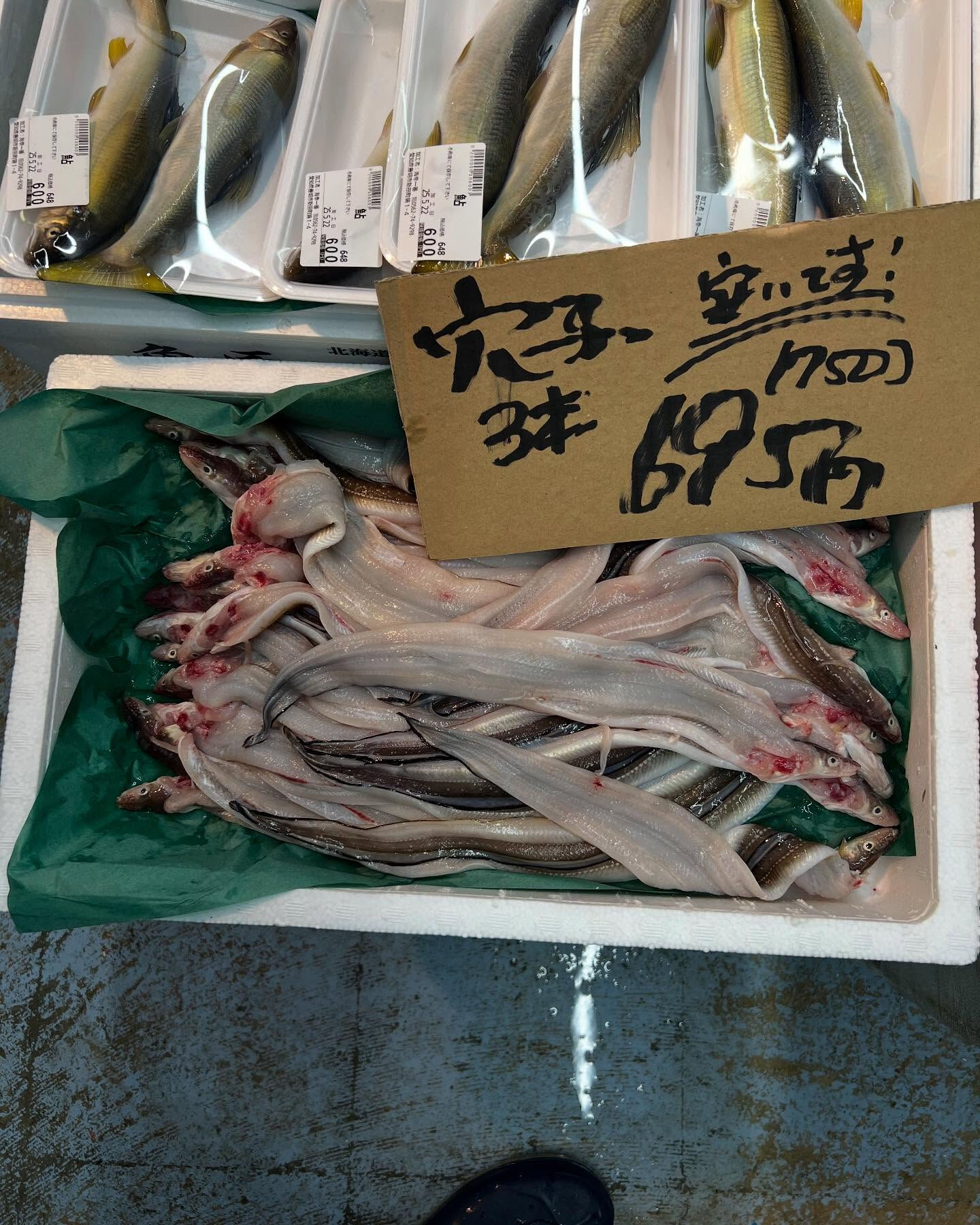 本日メインは２つ!!