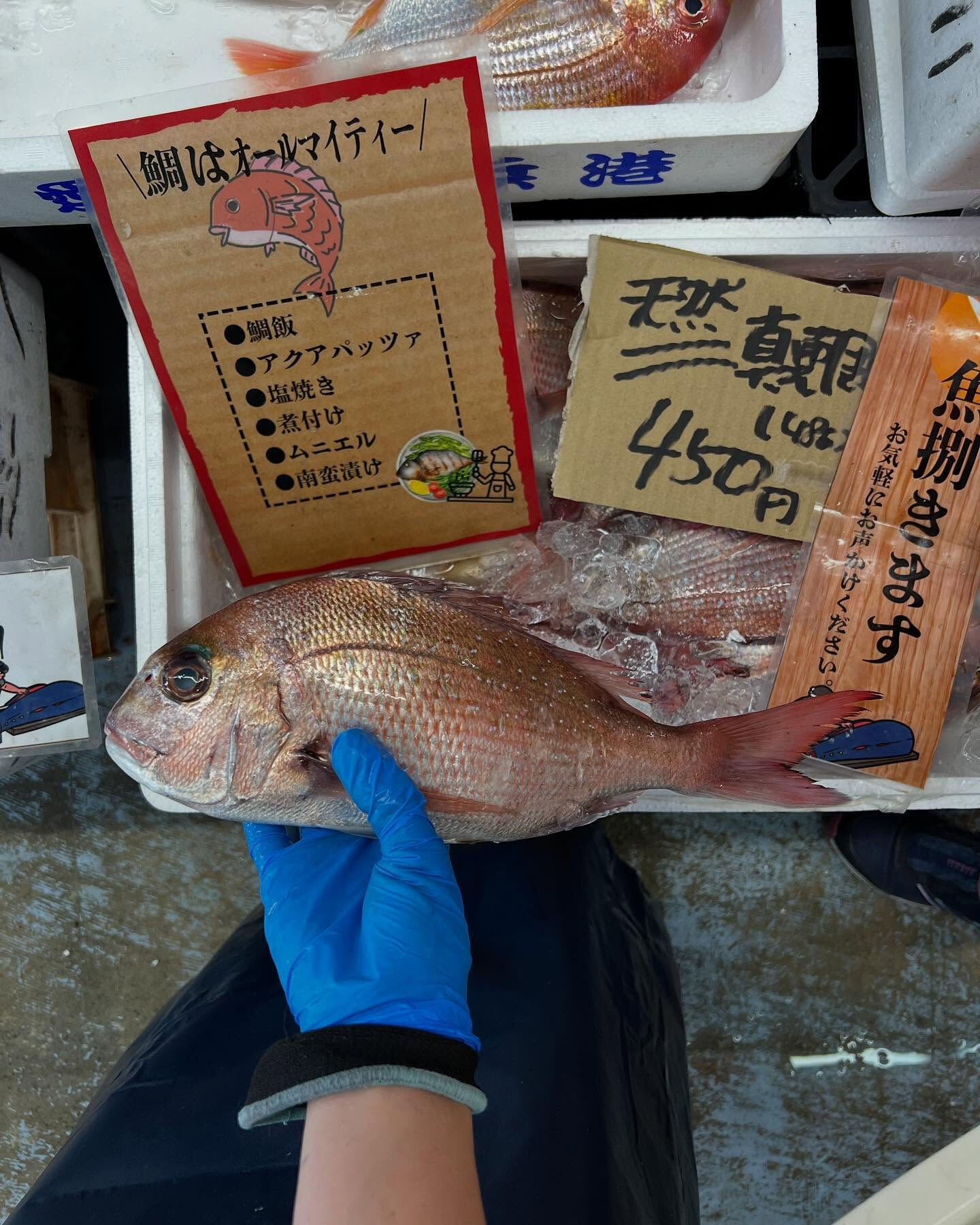 本日メインは２つ!!