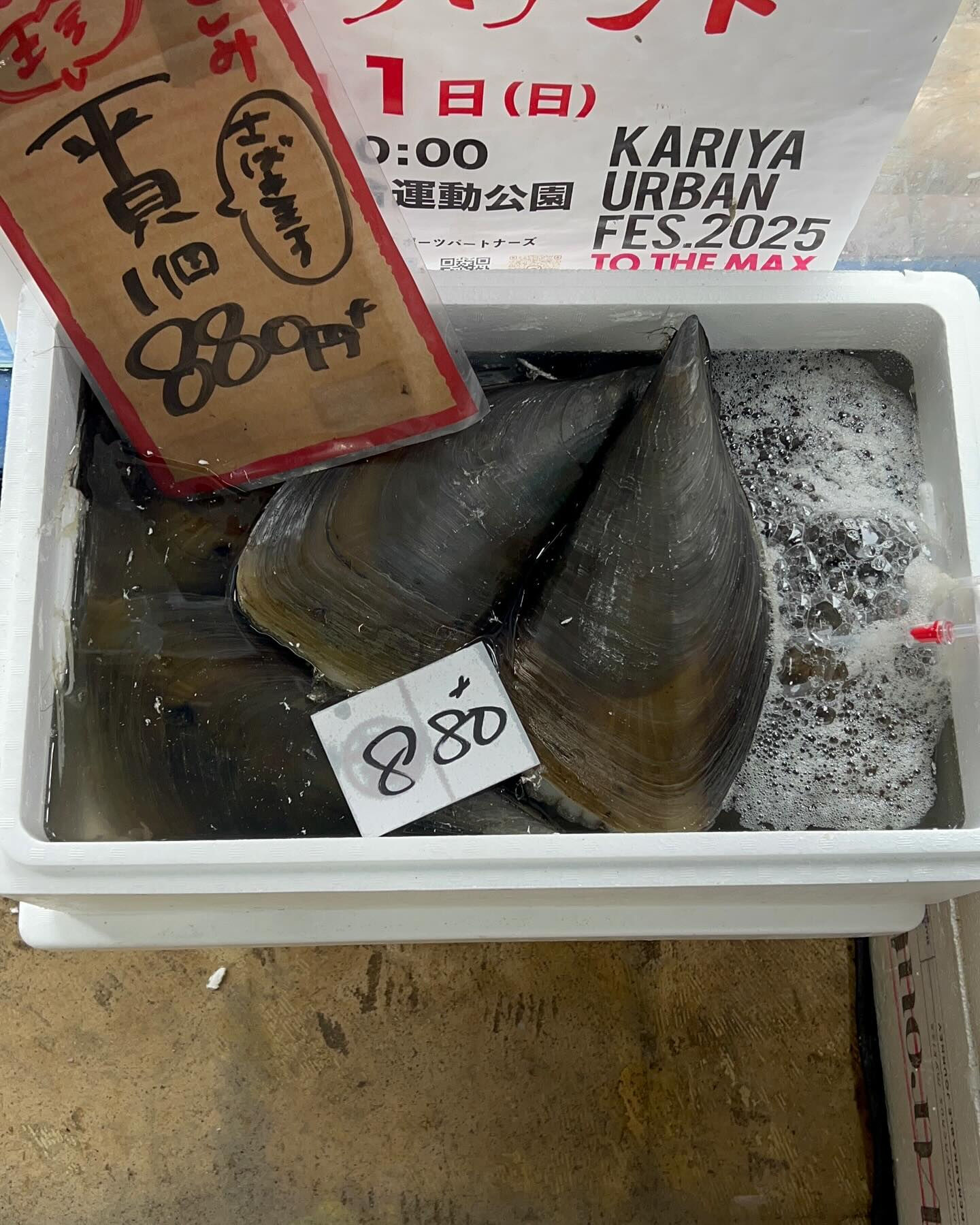 本日メインは２つ!!
