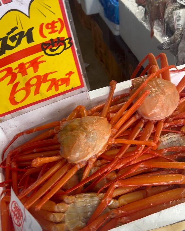 本日メインは２つ!!