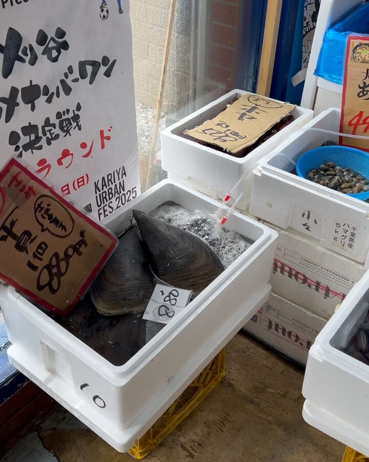 本日メインは２つ!!