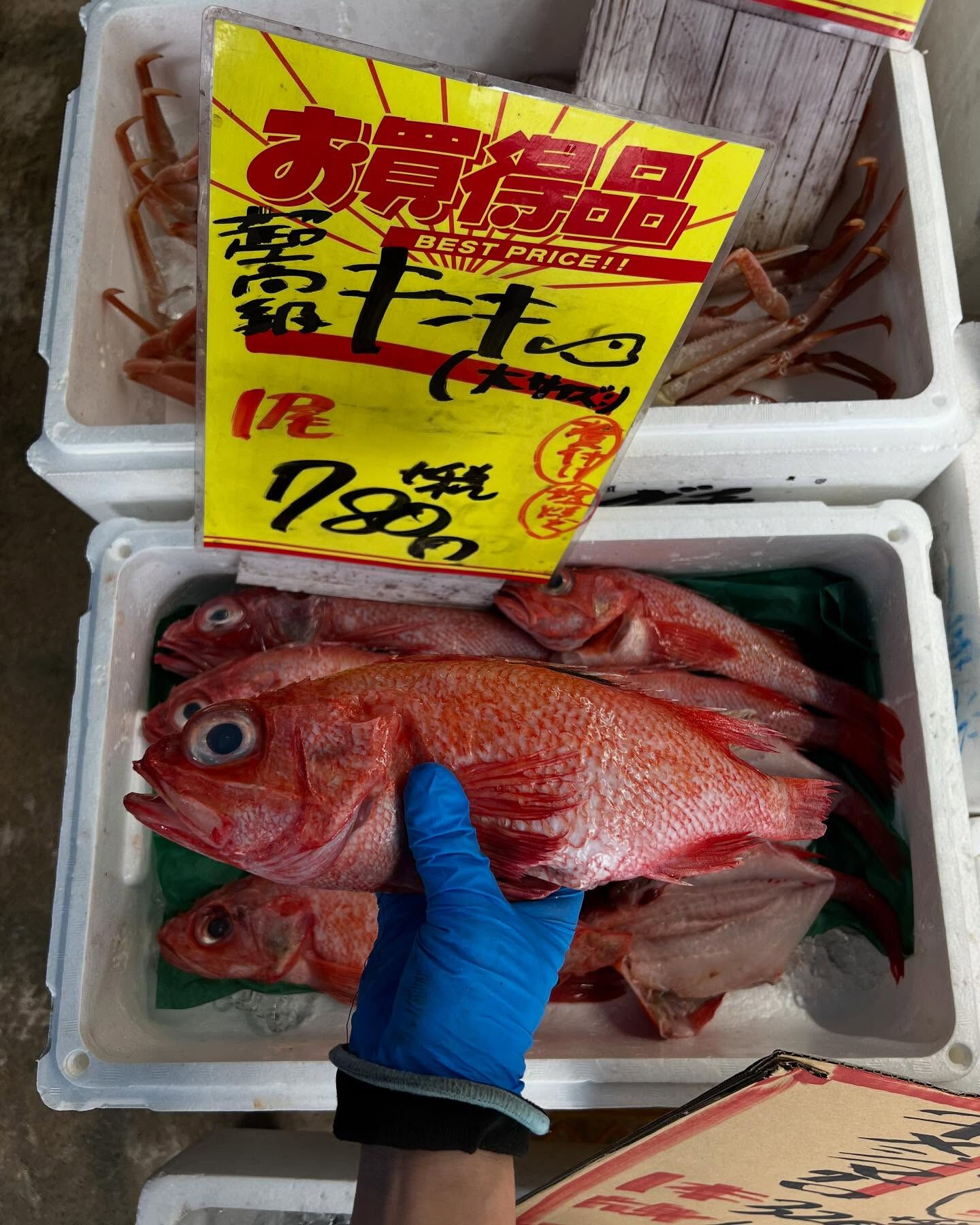 本日メインは２つ!!