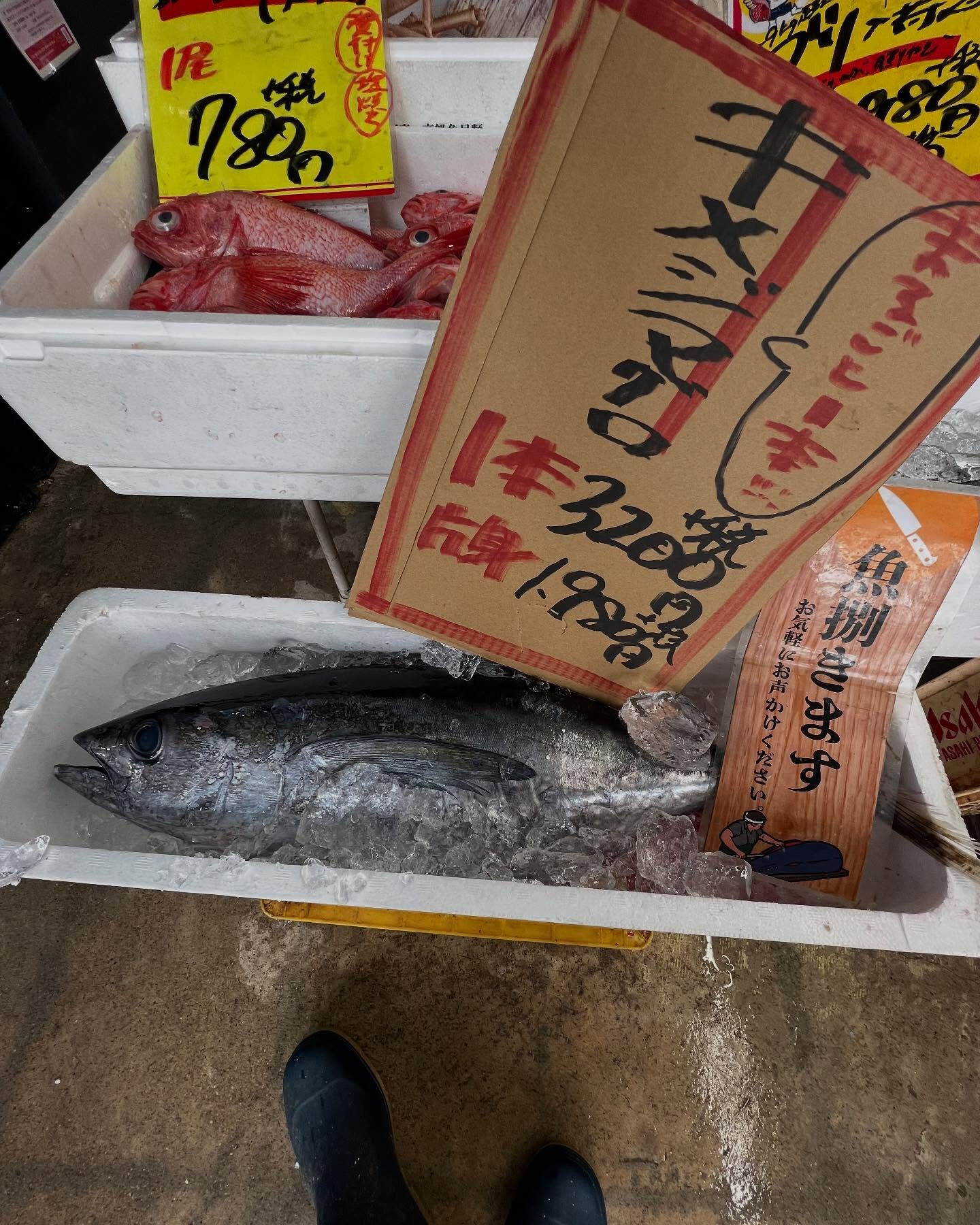 本日メインは２つ!!