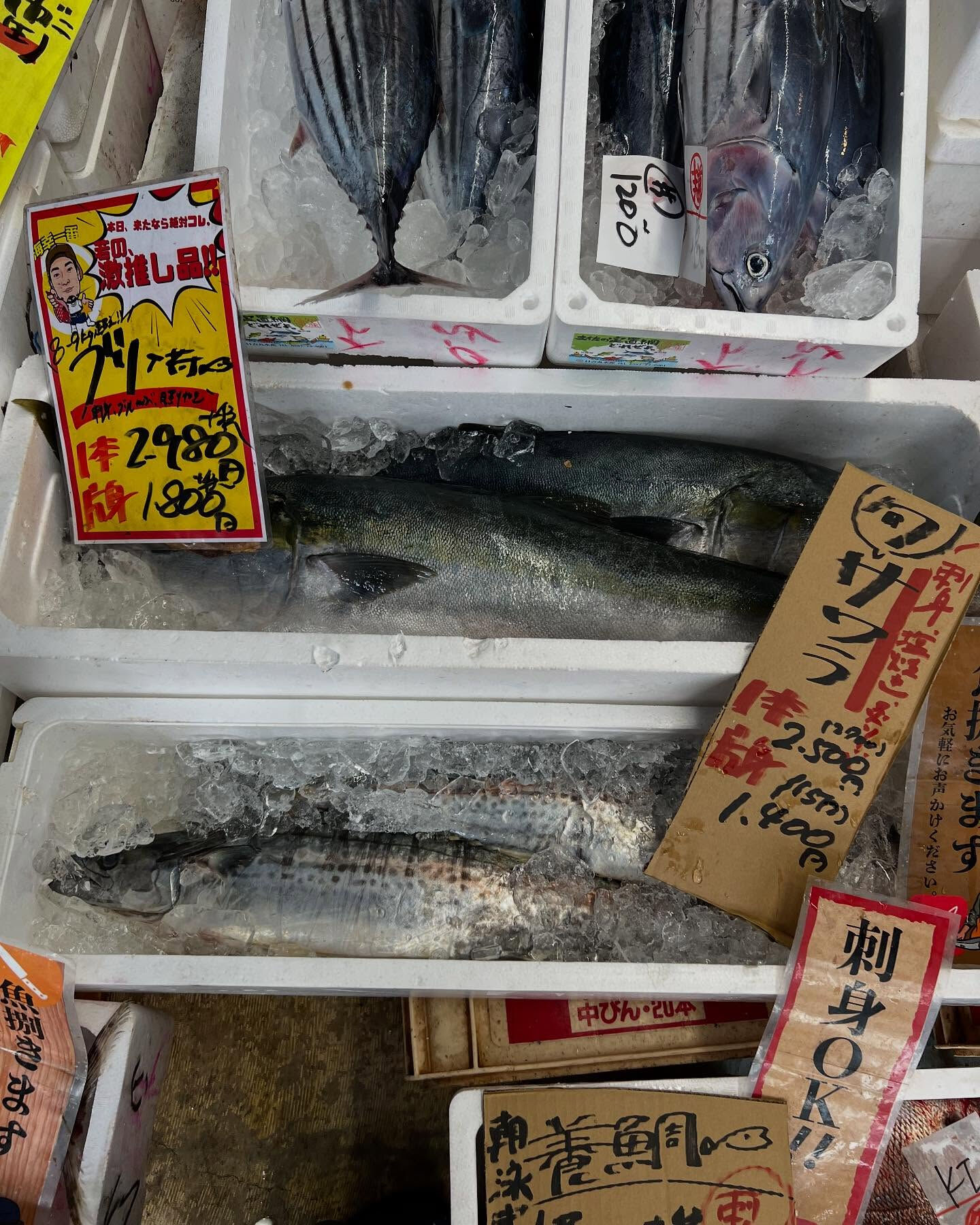 本日メインは２つ!!
