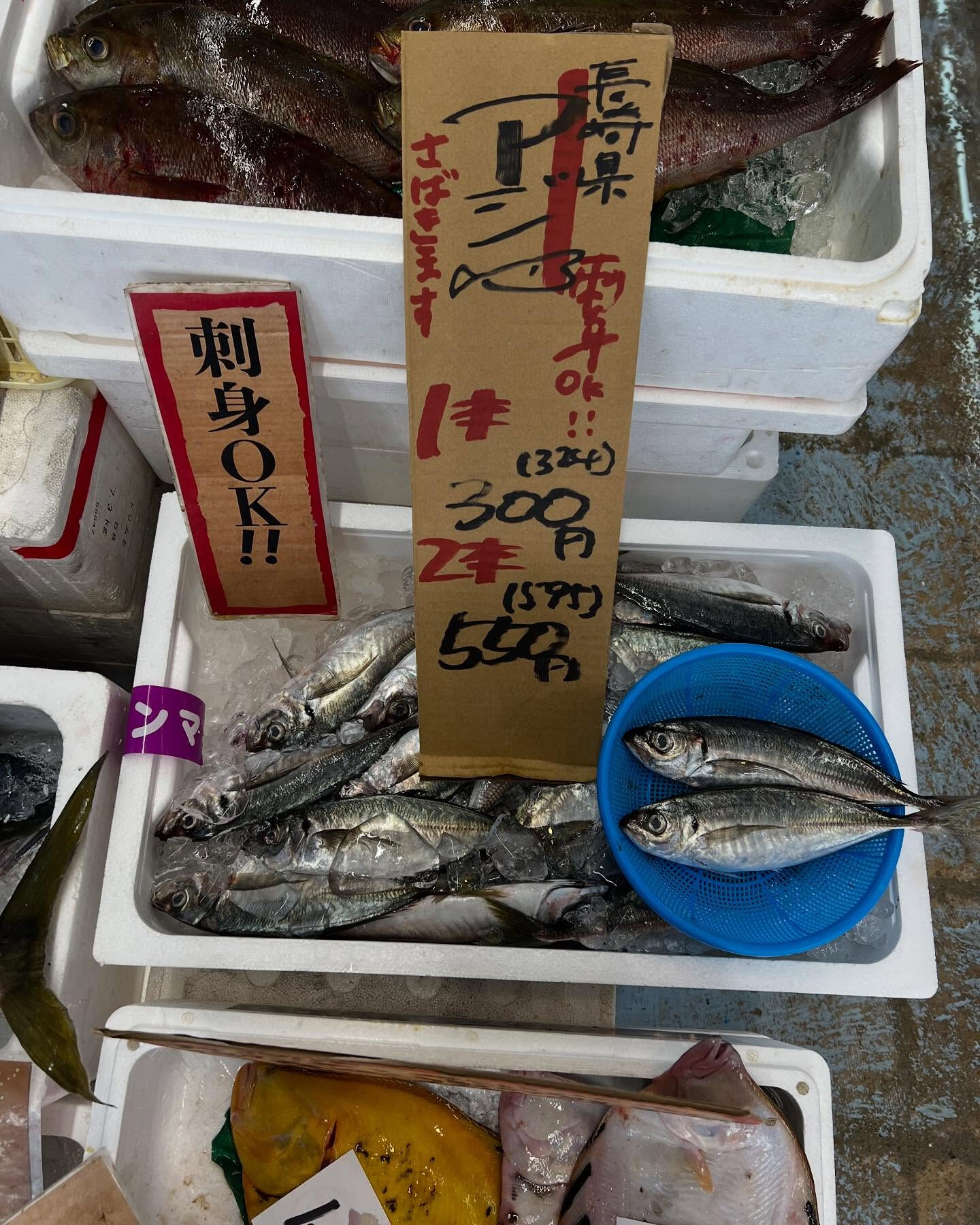 本日メインは２つ!!