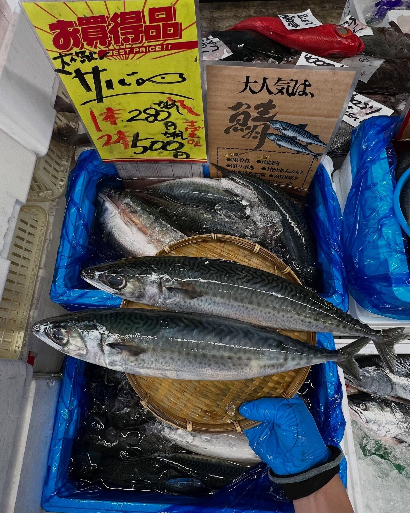 本日メインは２つ!!