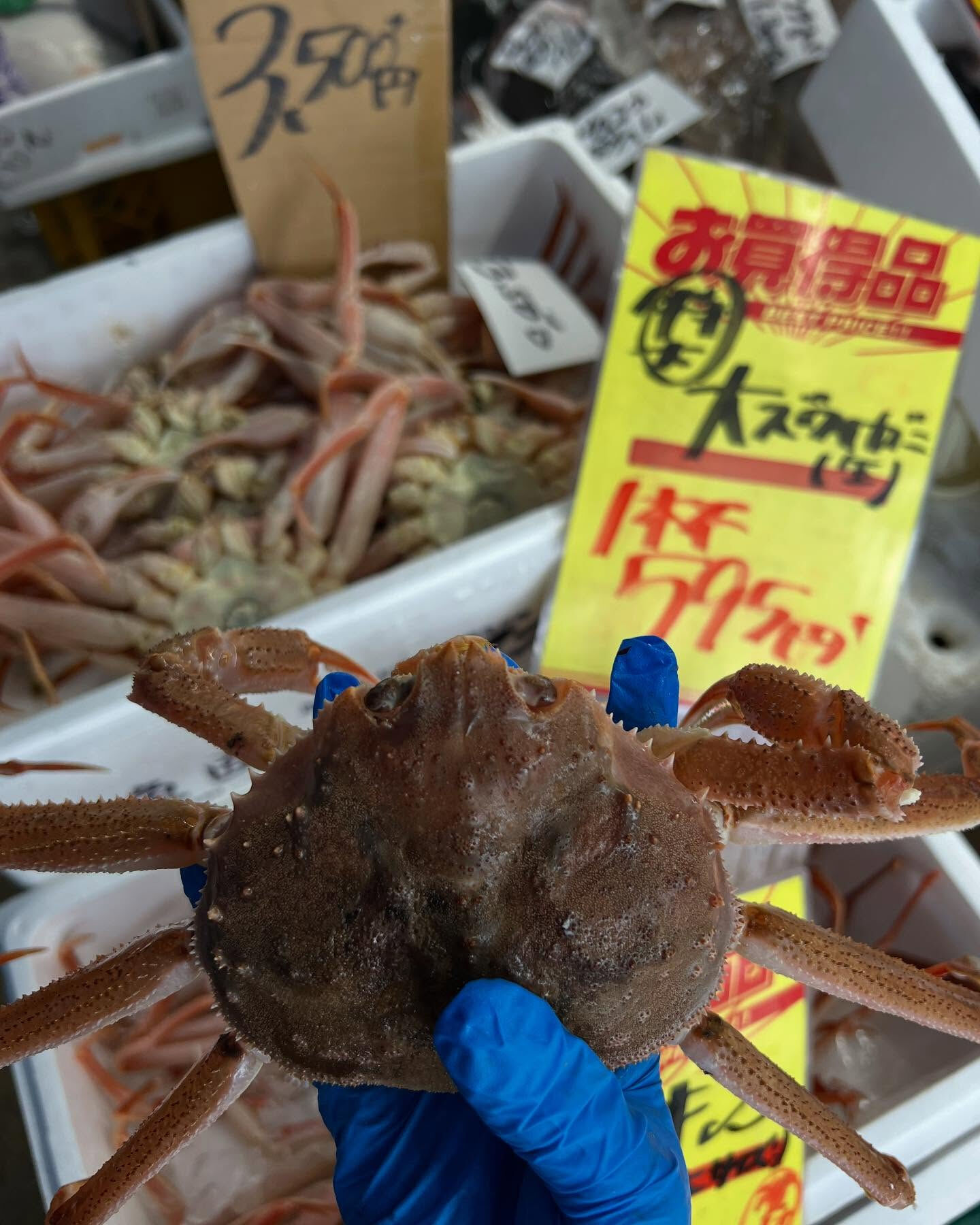 本日メインは２つ!!