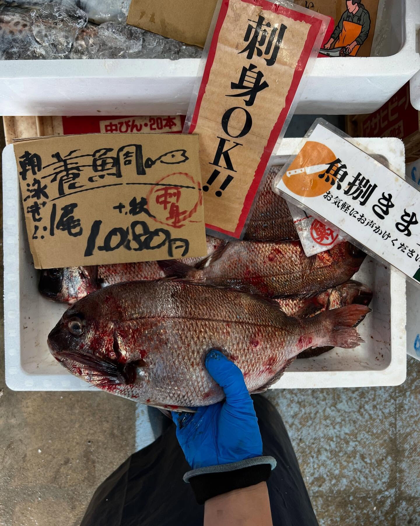 本日メインは２つ!!