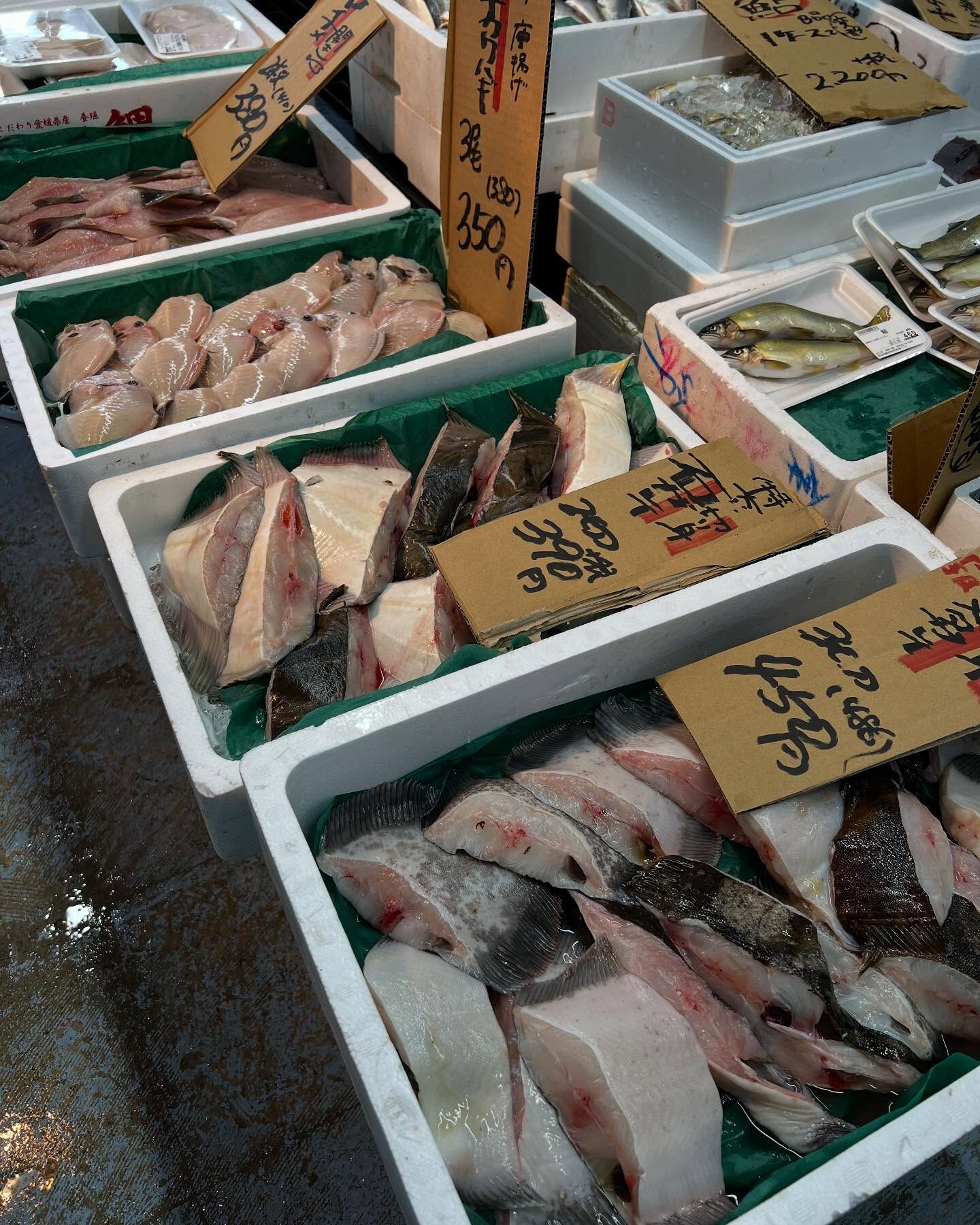 本日メインは２つ!!