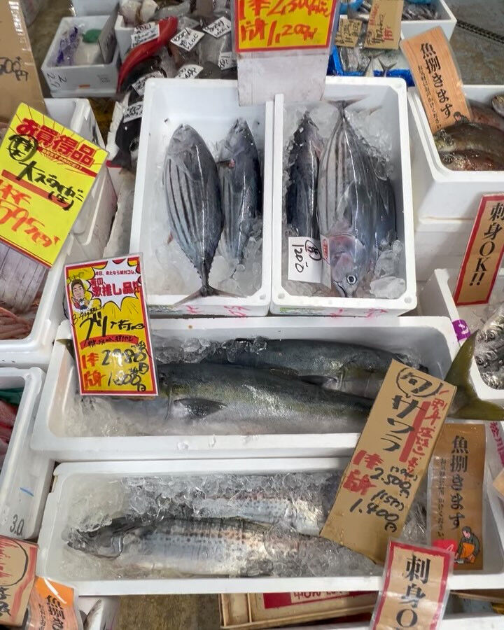 本日メインは２つ!!