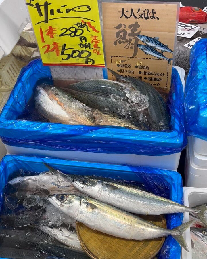 本日メインは２つ!!