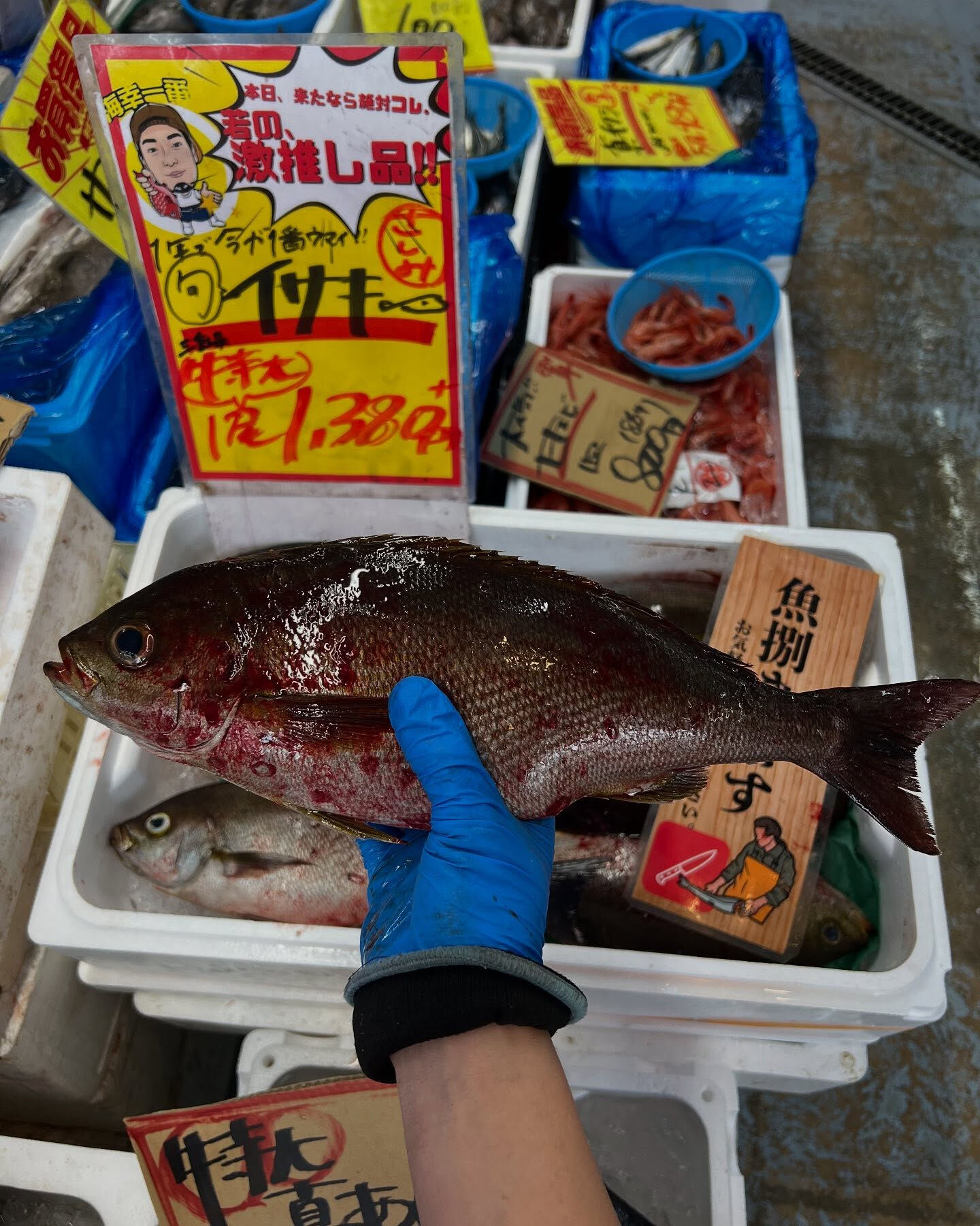 本日、木曜日start🐟