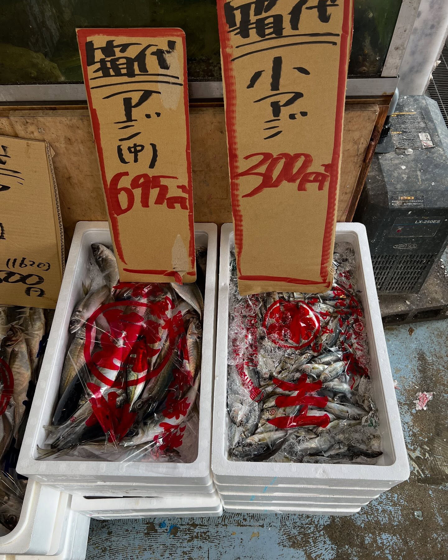 本日、木曜日start🐟