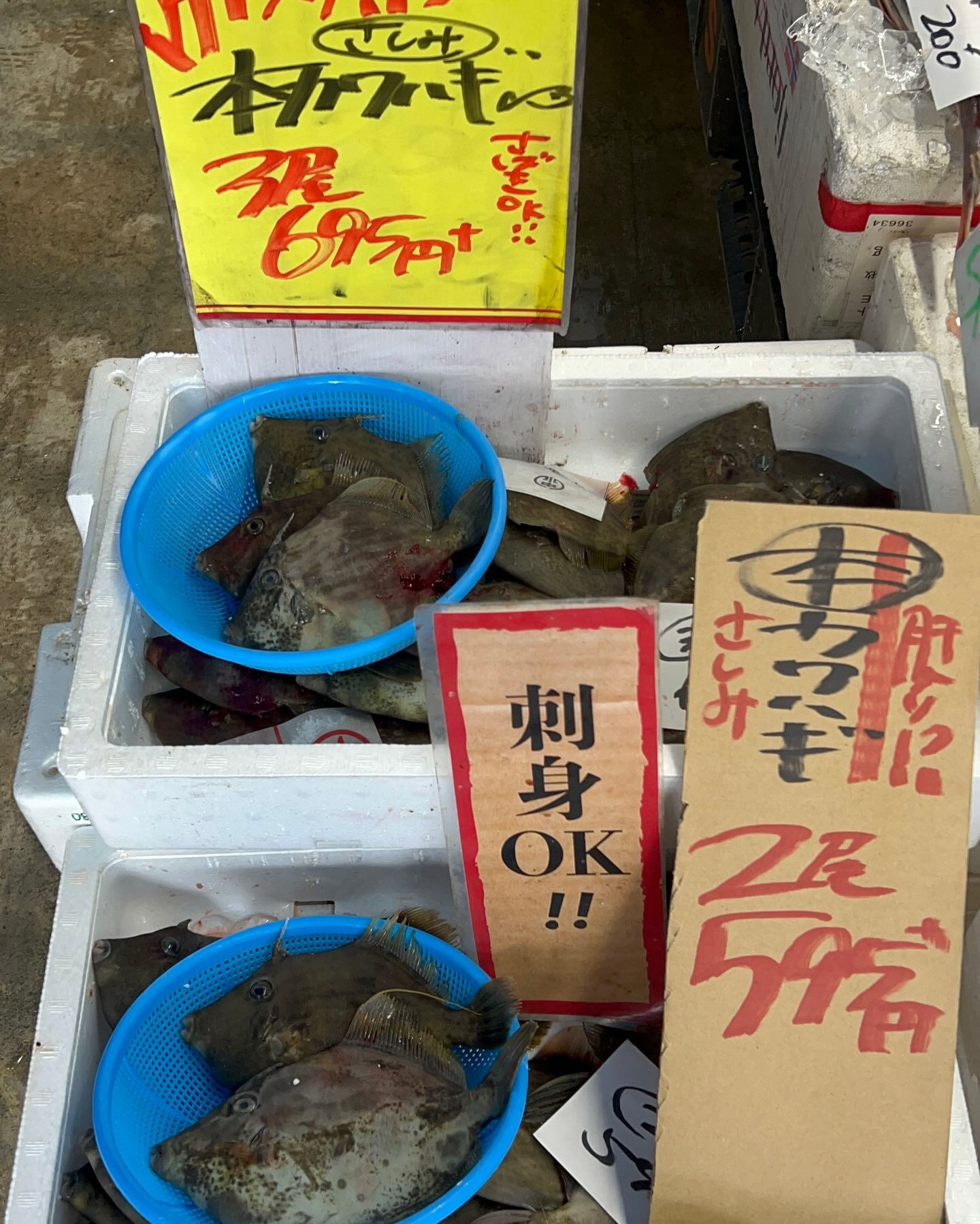 本日、木曜日start🐟