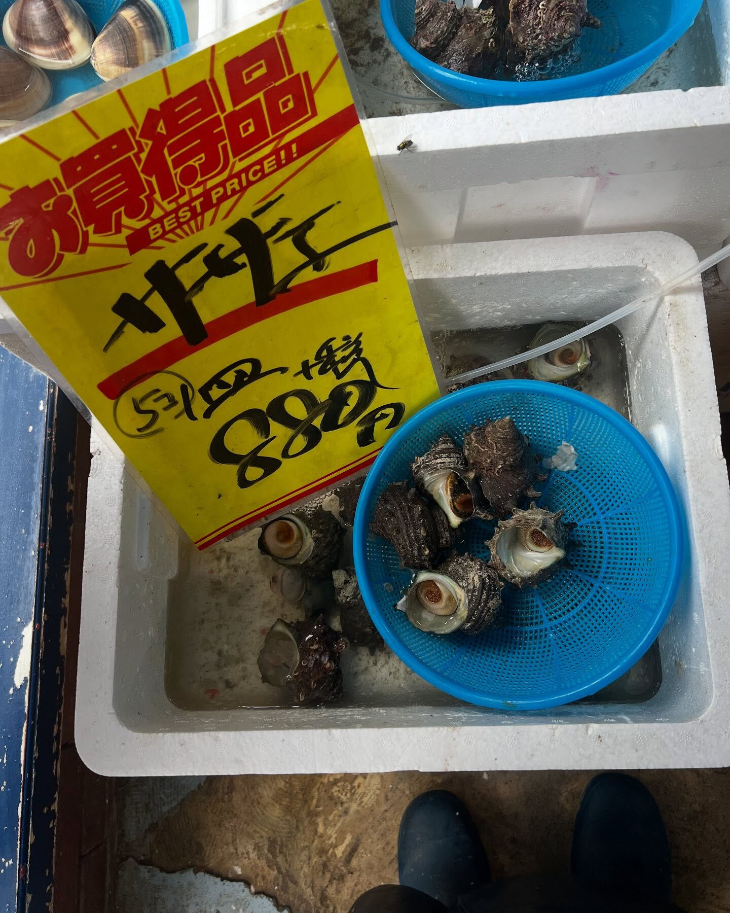 本日、木曜日start🐟