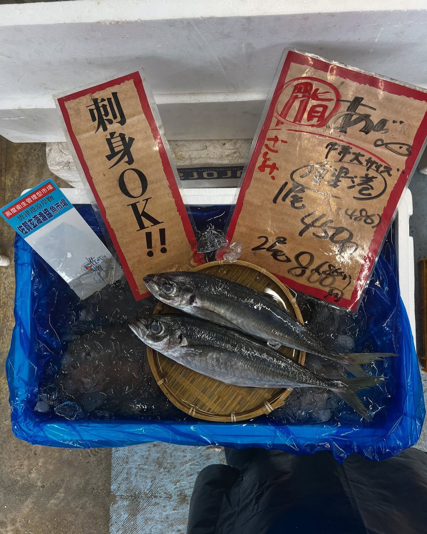 本日、木曜日start🐟