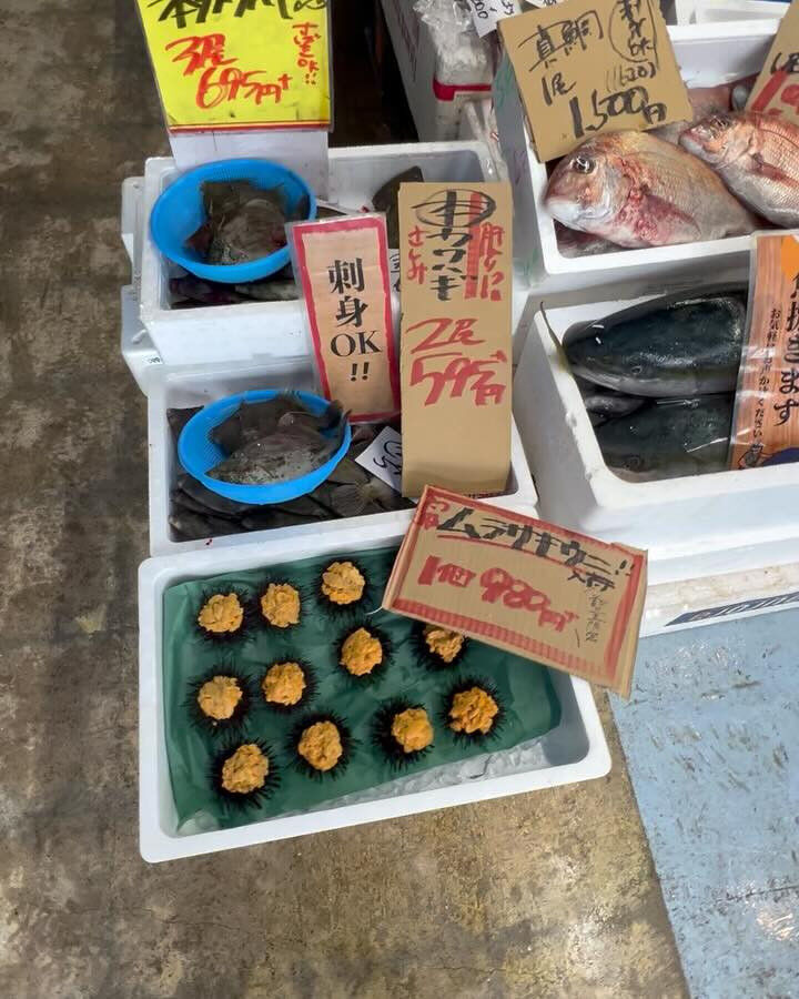 本日、木曜日start🐟