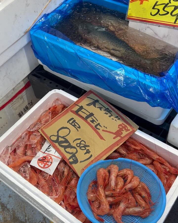 本日、木曜日start🐟