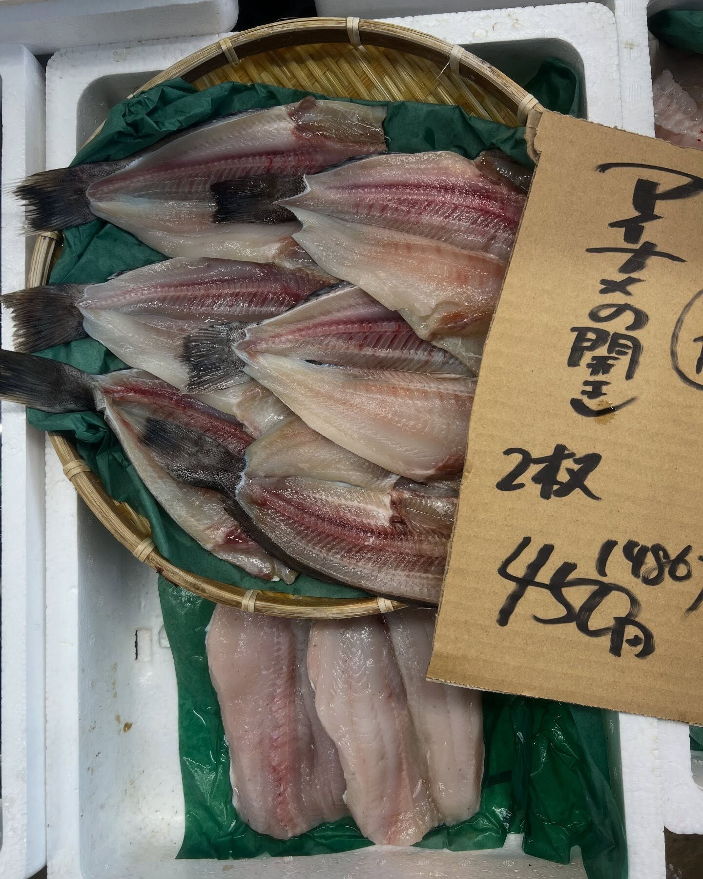 本日、木曜日start🐟