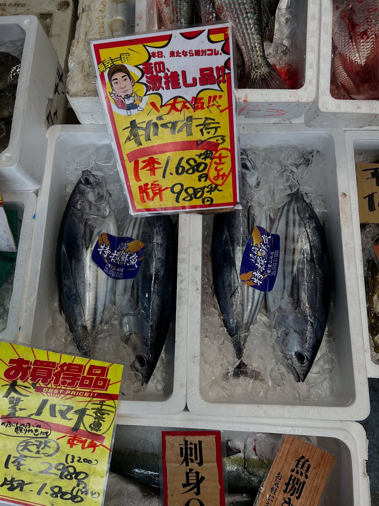 本日、金曜start🐟