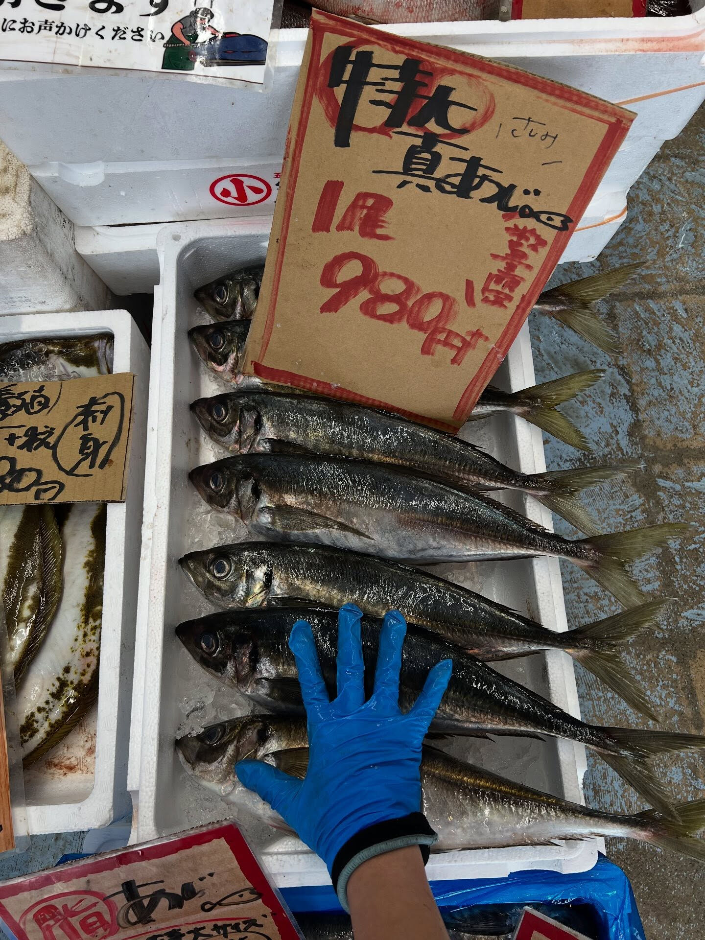 本日、金曜start🐟