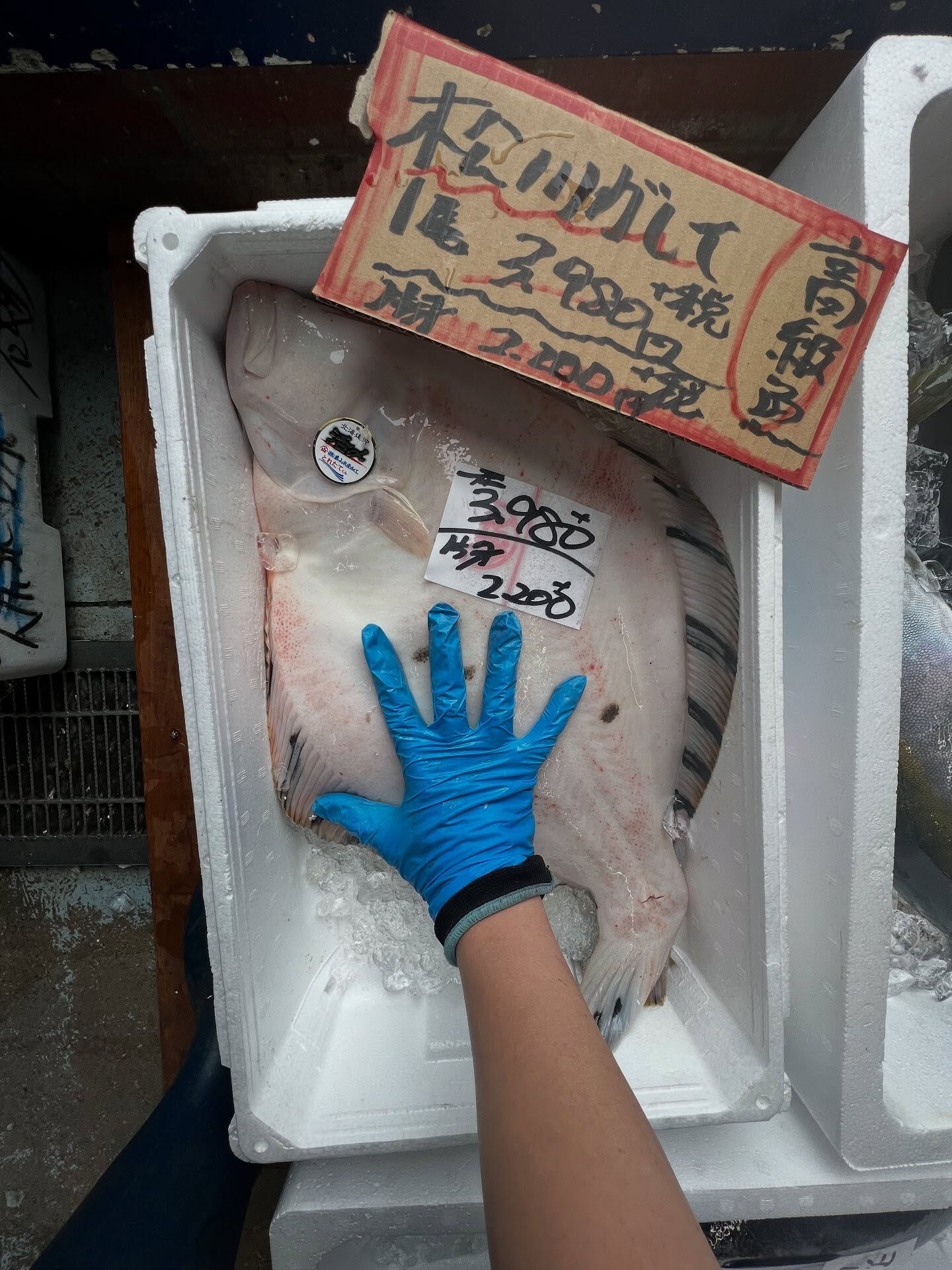 本日、金曜start🐟