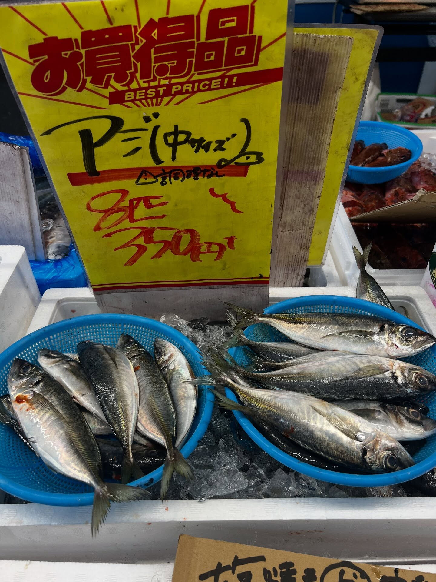 本日、金曜start🐟