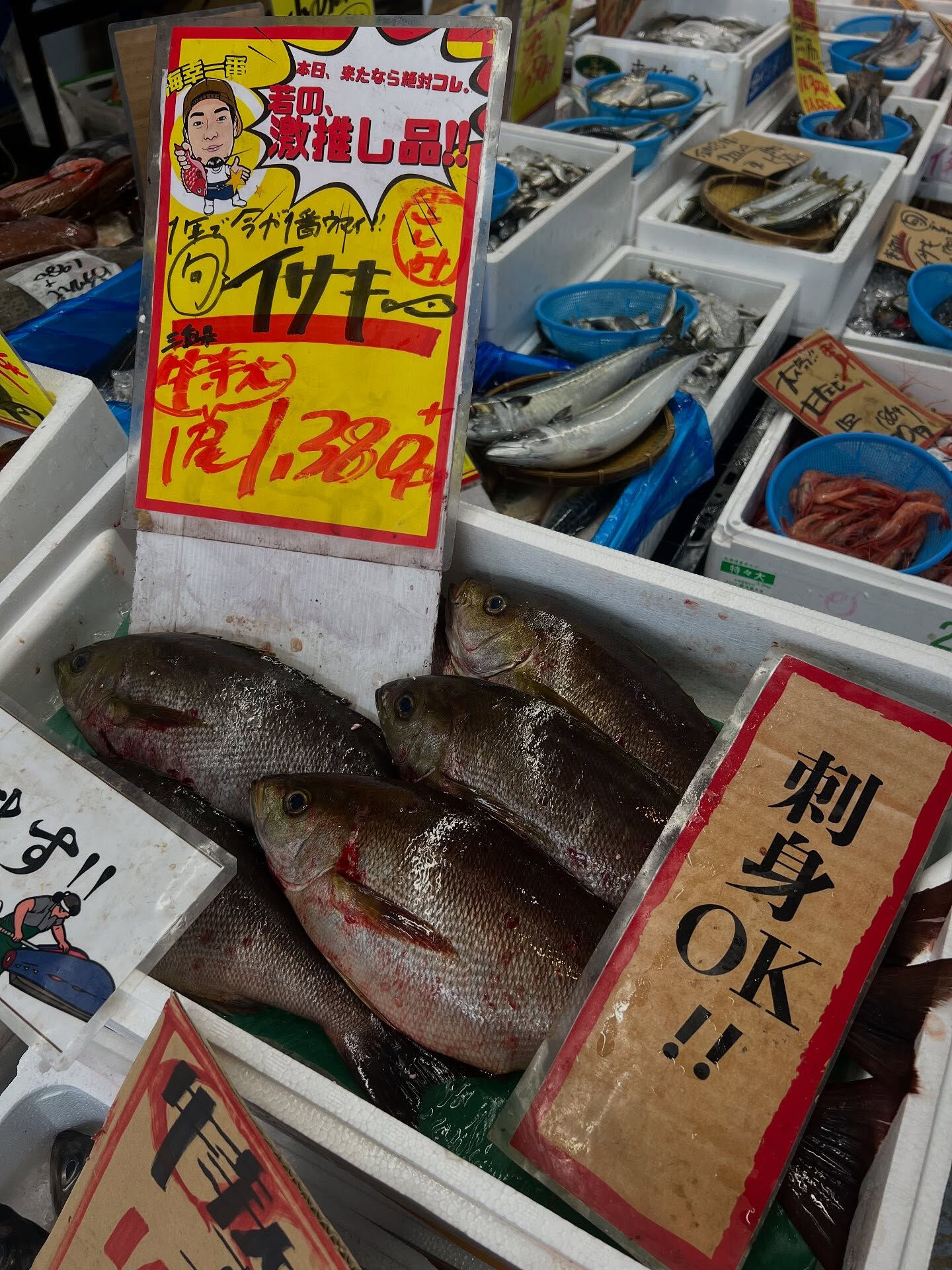 本日、金曜start🐟