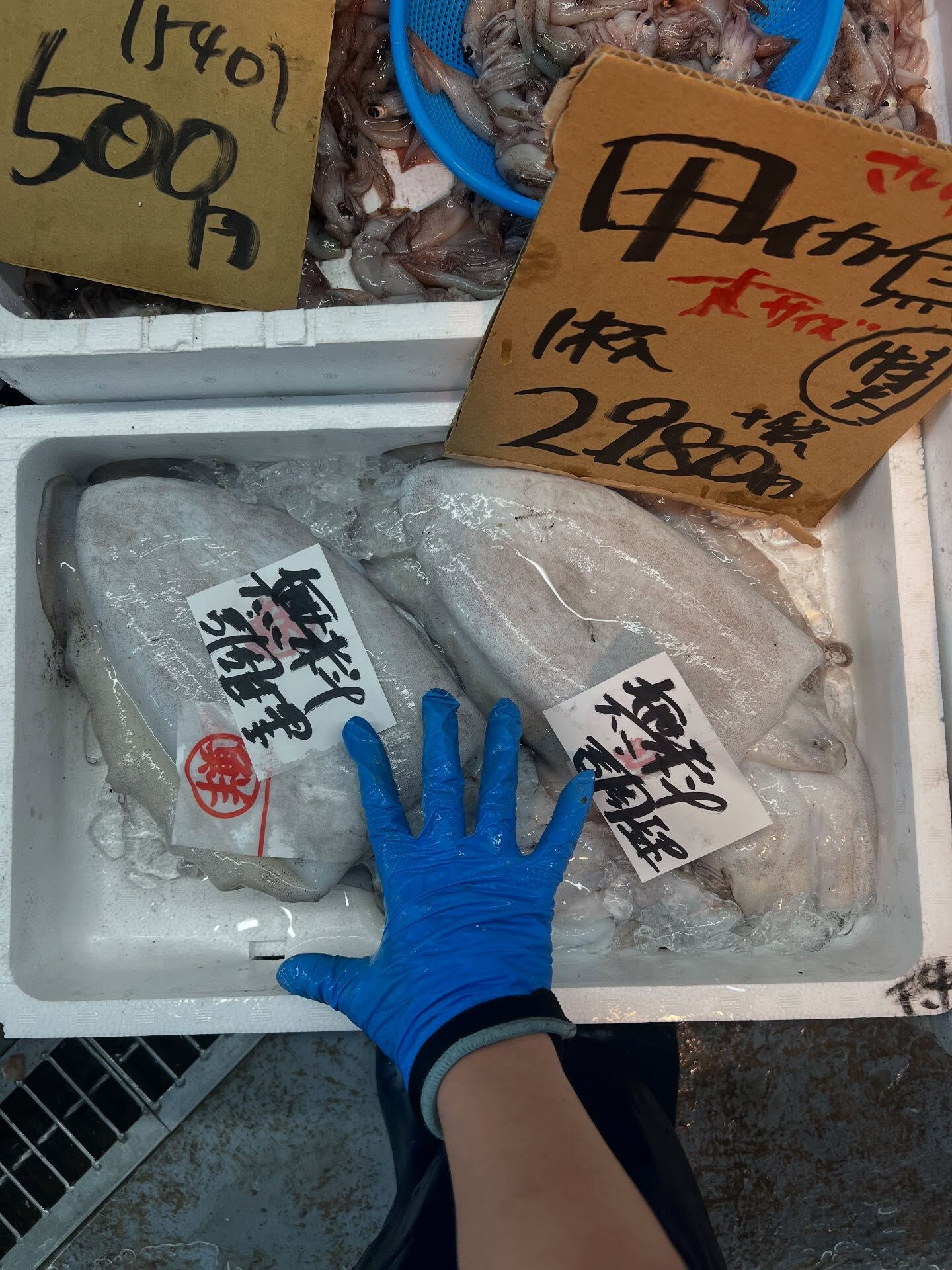 本日、金曜start🐟