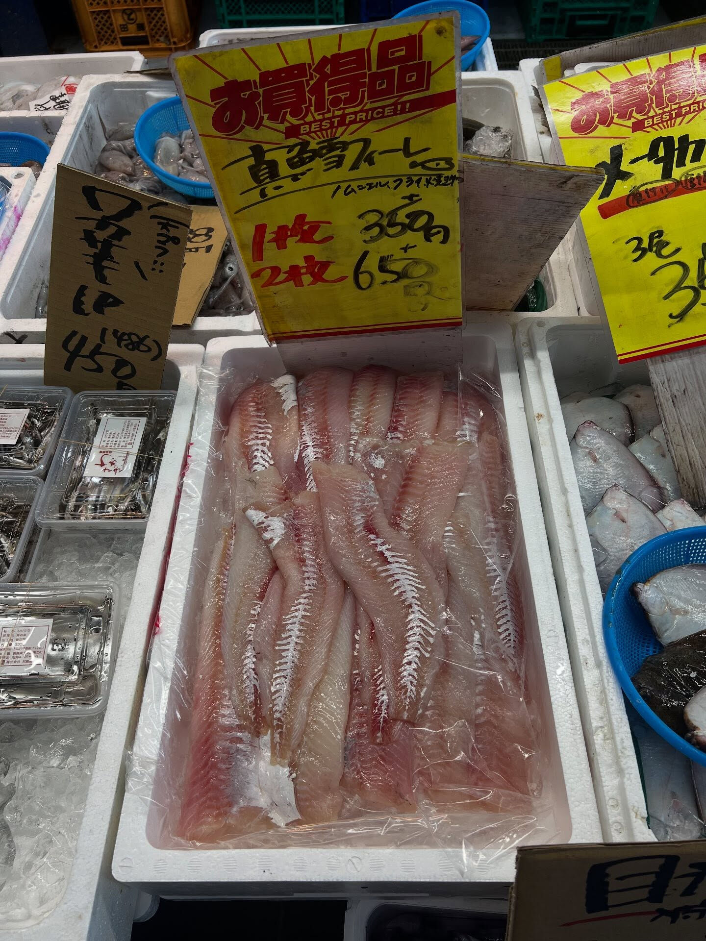 本日、金曜start🐟