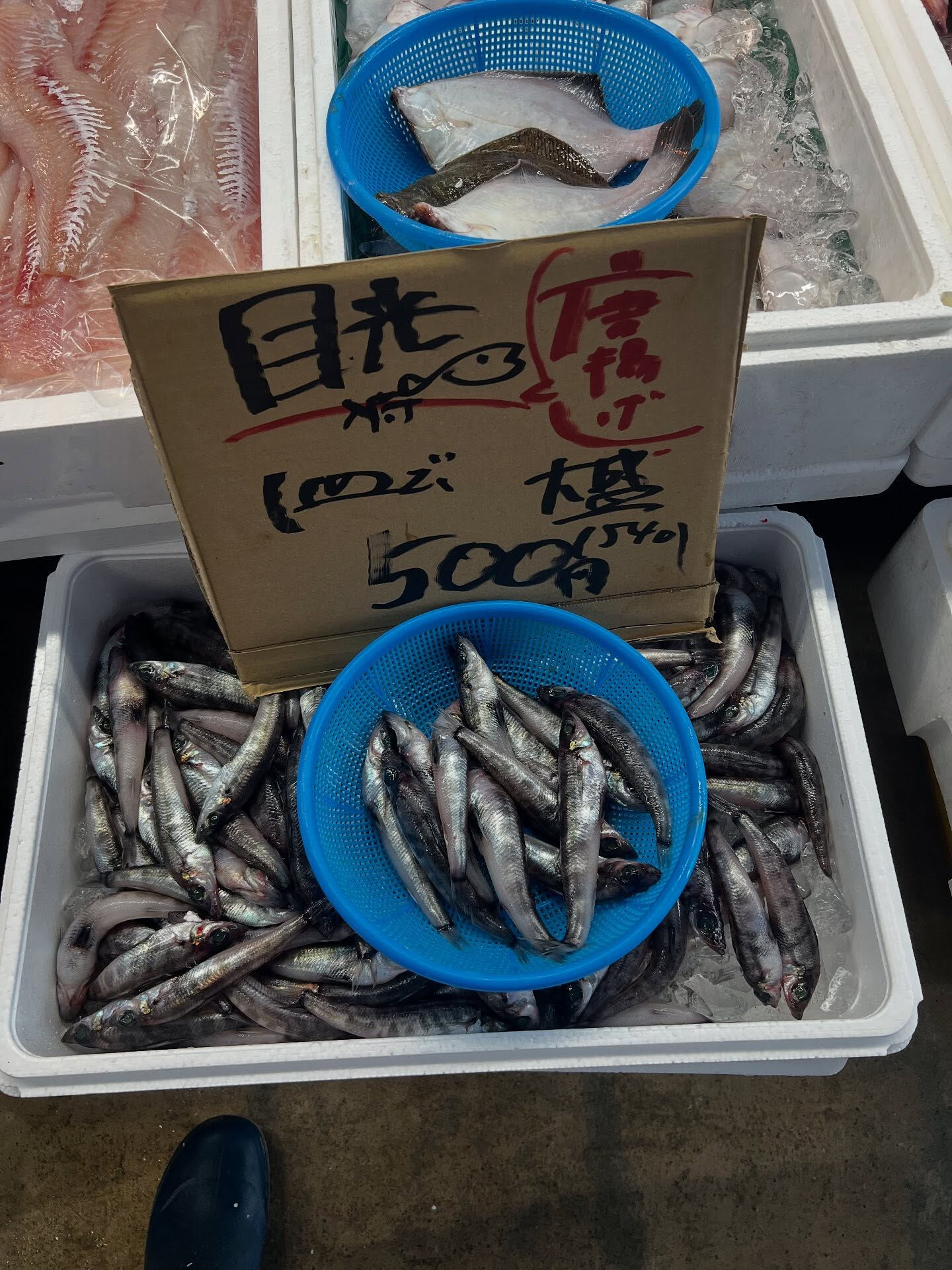 本日、金曜start🐟