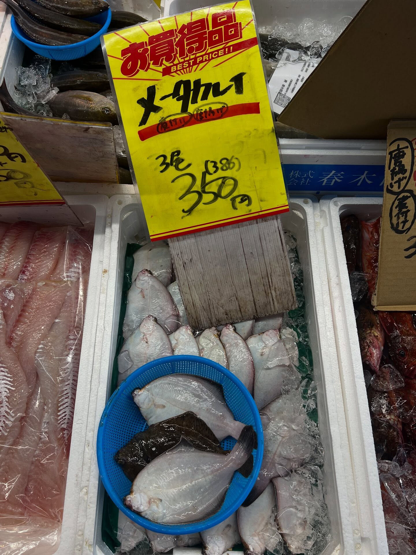 本日、金曜start🐟