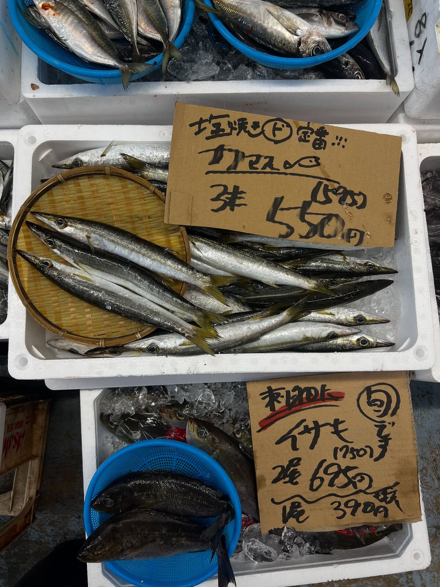 本日、金曜start🐟