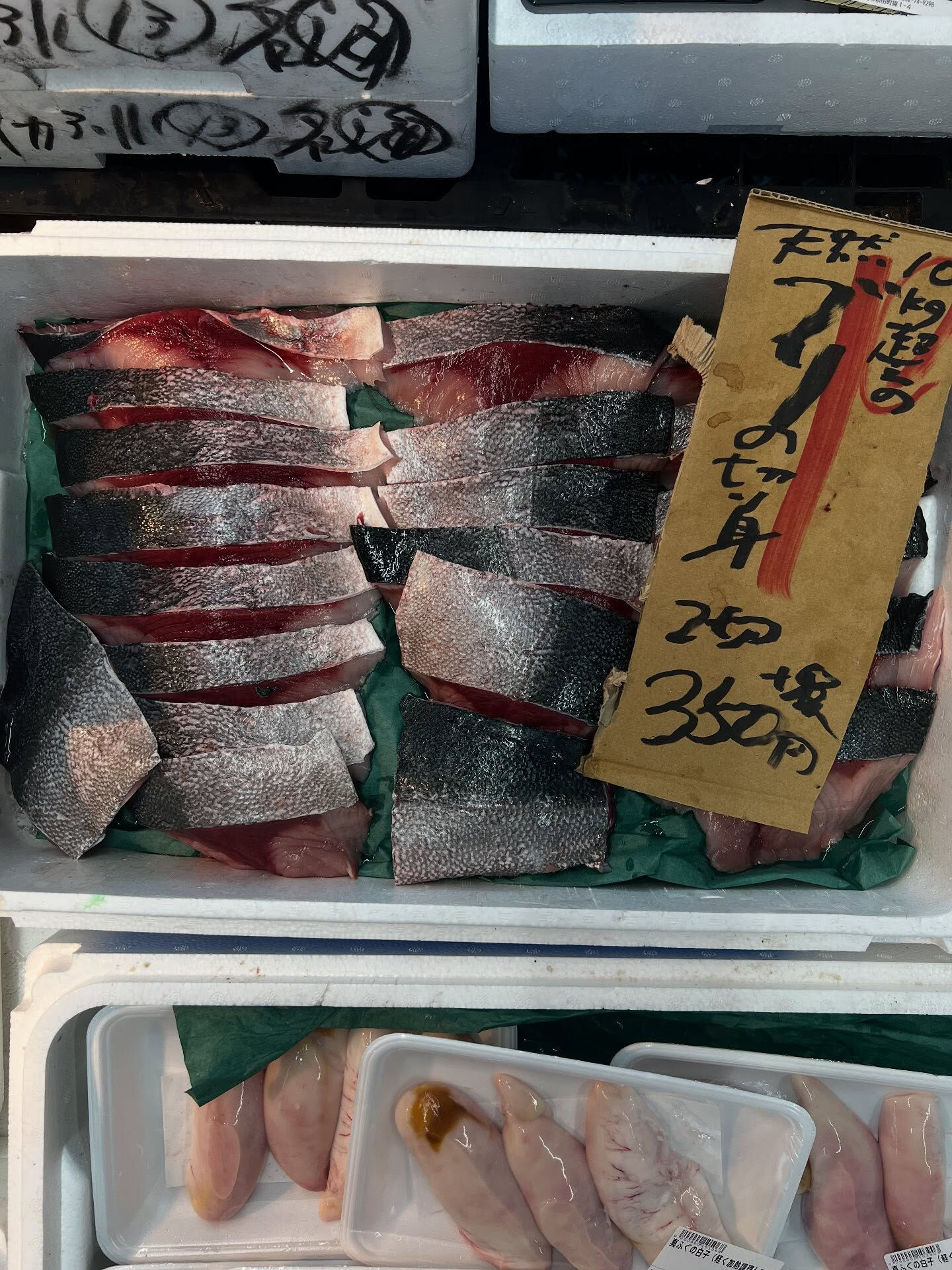 本日、金曜start🐟