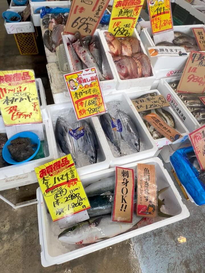 本日、金曜start🐟