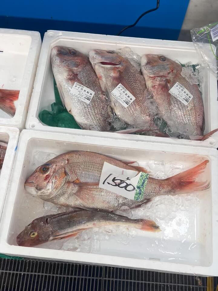 本日、金曜start🐟